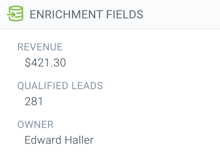 Page detail in ContentKing showing following enrichment fields: the revenue attributed to the page, the number of qualified leads generated by the page, and the owner of the page.