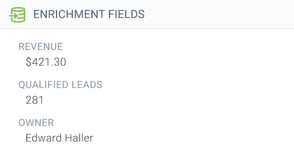 ContentKing - Enrichment Field Details Screen ContentKing - Enrichment Field Details Screen
