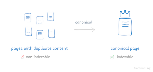 Canonical URLs prevent duplicate content issues