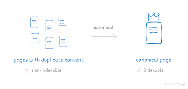 Gli URL canonici evitano problemi di contenuti duplicati