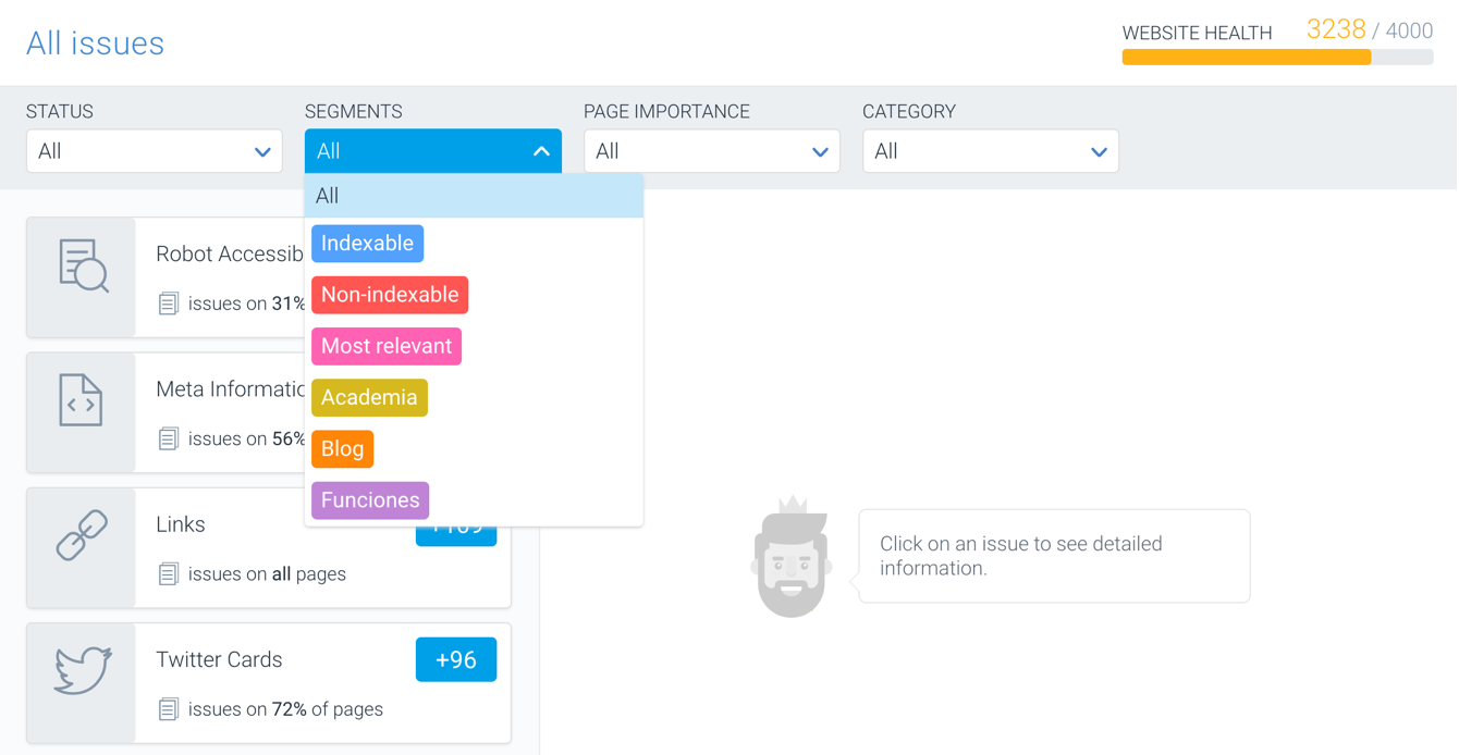 Segments in Issues screen