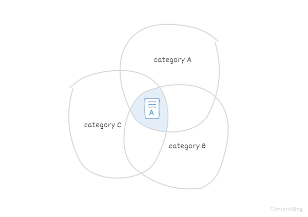 Duplicate content due to pages being in multiple categories. Duplicate content due to pages being in multiple categories.