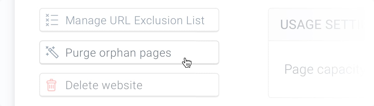Purging orphan pages on Website settings in ContentKing